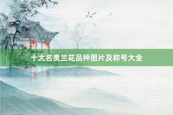 十大名贵兰花品种图片及称号大全