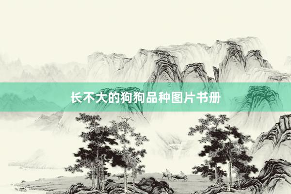 长不大的狗狗品种图片书册
