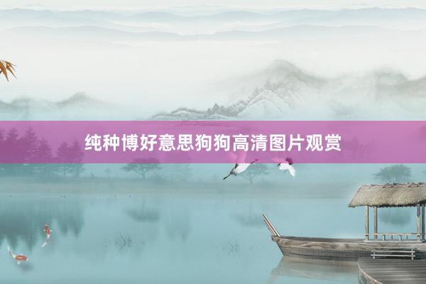 纯种博好意思狗狗高清图片观赏